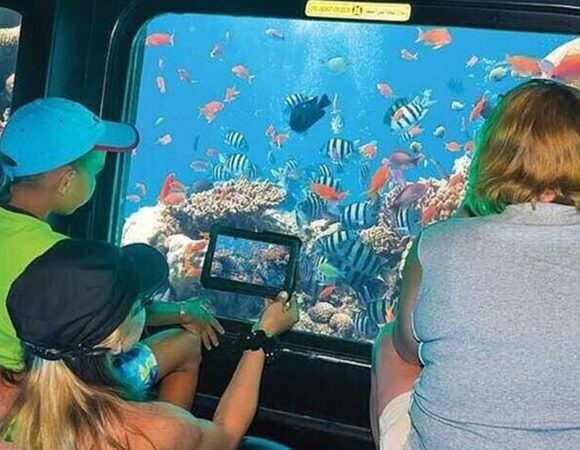 Marsa Alam: Semi Submarine and Coral Reef Snorkeling Tour